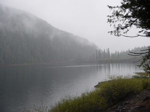 Linton Lake Mist